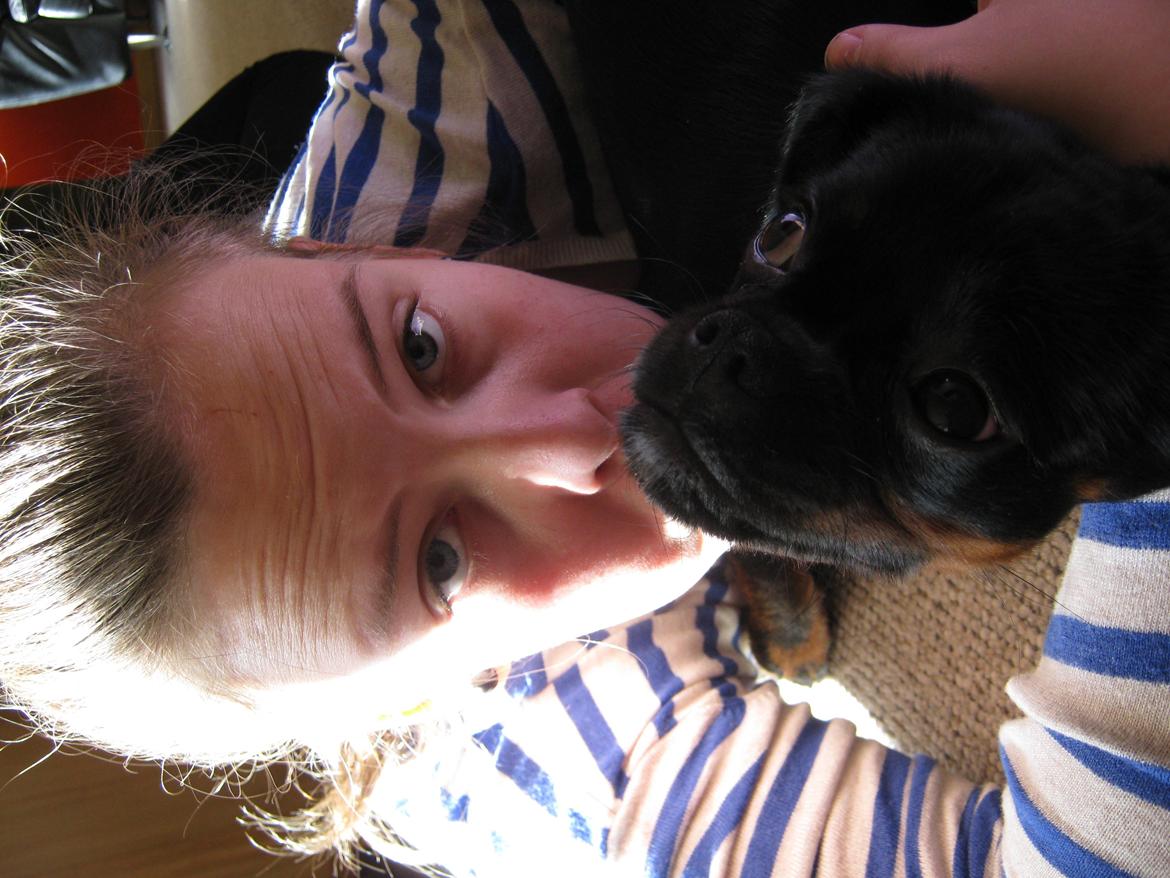 Blanding af racer Bella billede 17