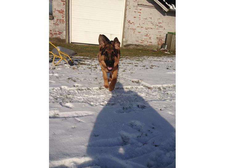 {{currentPhoto.altText}} billede {{currentPhoto.number}}