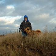 Islandsk fårehund Aa.skyggi R.I.P 2017.