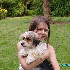 Blanding af racer Pjevs