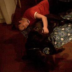 Blanding af racer R.I.P 27.04.09 *Dino* 