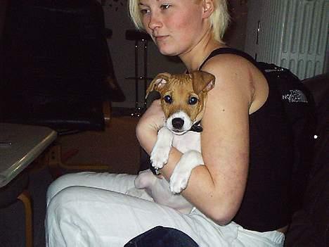 Blanding af racer Matilde - Her sidder jeg så og hygger med min mor billede 1