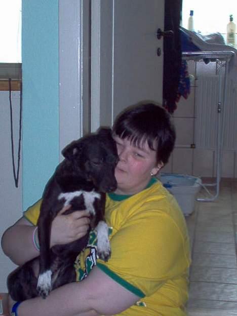 Dansk svensk gaardhund cæsar. - her mig og min mor.. billede 12