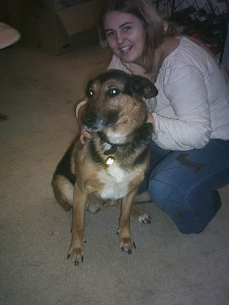 Blanding af racer taco (død) - taco og  mig billede 1