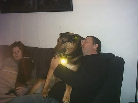 Blanding af racer taco (død) - taco ved min sted far billede 4