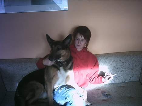 Blanding af racer taco (død) - taco og min lille søster billede 5