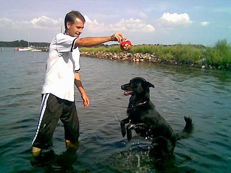 Blanding af racer Victor - Det er min bold! slip den eller jeg springer højere op efter den billede 4