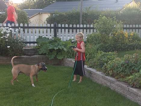 Blanding af racer kenzo R.I.P billede 7