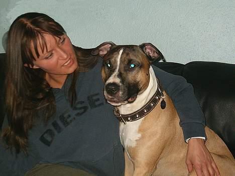 Blanding af racer kenzo R.I.P - Sammen med mor billede 14