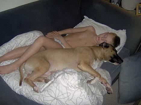 Blanding af racer kenzo R.I.P - ZZZZZZZZZZZZzzzzzzz billede 15