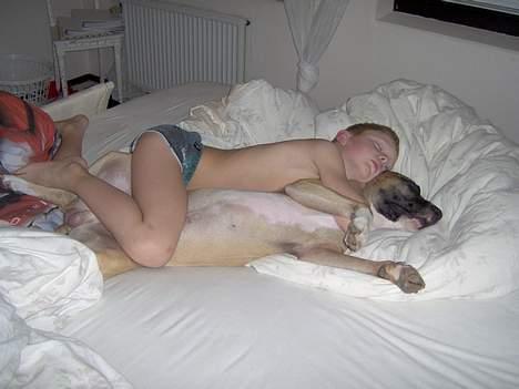 Blanding af racer kenzo R.I.P - ja de to er uadskillige.... sådan sover de om natten..hehe billede 19