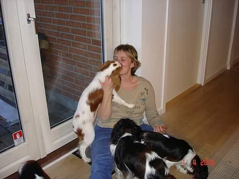 Cavalier king charles spaniel Stella - Besøg hos Kennel Cavalot !   (Cava)Lotte får lige et lille kys af Stella! billede 5