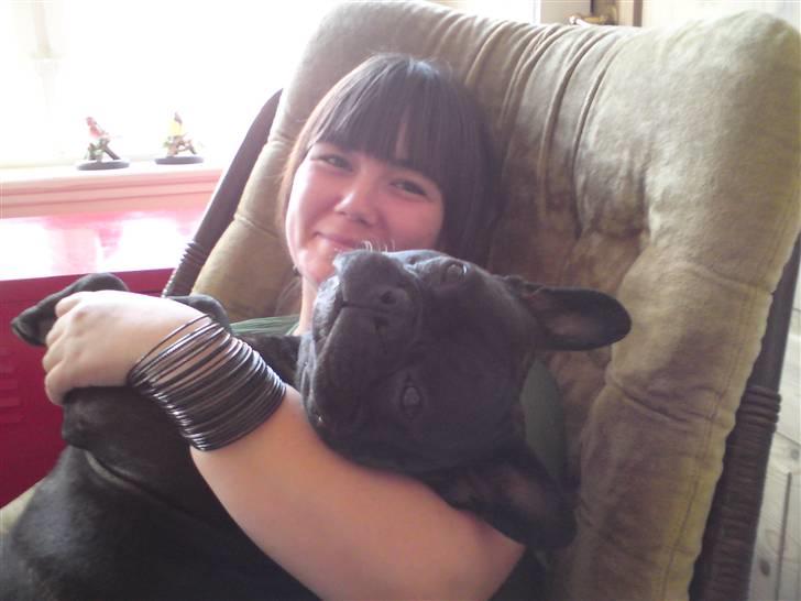 Fransk bulldog Bertram 2 billede 18