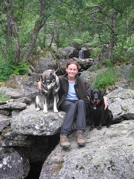 Labrador retriever Chica - Her er jeg på vandretur i Norge med Stina og Bowie... billede 13