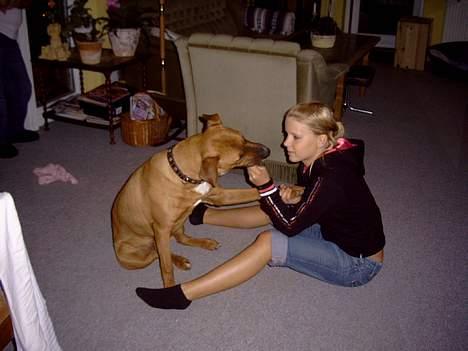 Blanding af racer Niclo - Gi Mig den nu mor .. *8 mdr* billede 6