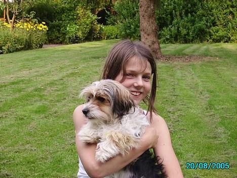 Blanding af racer Pjevs billede 3