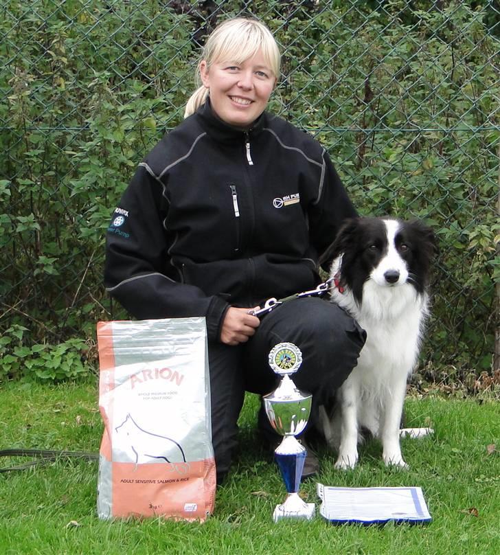 Border collie Ronja - Ronja nr.3 til DM2010 i DCH A-klasse! billede 1