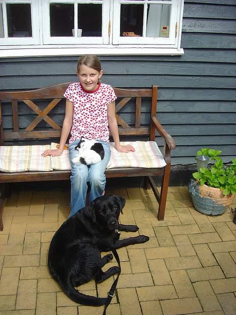 Labrador retriever Max - mig og max billede 8
