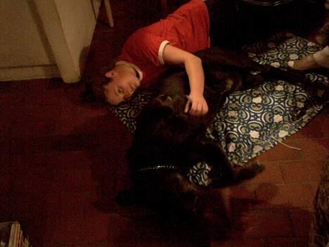 Blanding af racer R.I.P 27.04.09 *Dino*  - Dino og jeg tager lige en lur sammen i køkkenet. billede 3