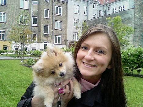 Pomeranian Mille - Tyksakken ;) billede 2