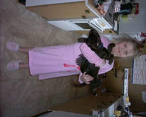 Blanding af racer balder billede 4