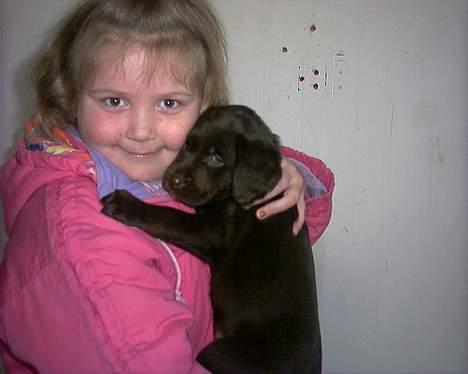 Blanding af racer balder billede 5