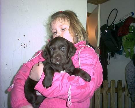 Blanding af racer balder billede 6