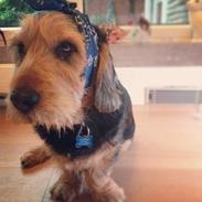 Blanding af racer Uffe 