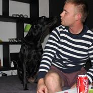 Labrador retriever Sussie