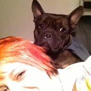 Blanding af racer Bobs