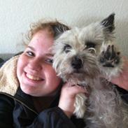 Cairn terrier Soffie