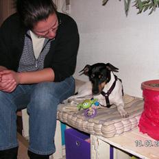 Blanding af racer Dansk/Svensk -Mynde Donna (Rafiki)