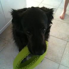 Blanding af racer Mille