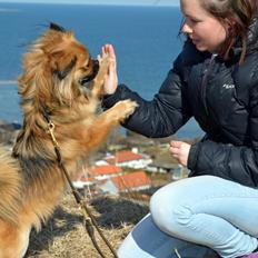 Blanding af racer Jackline R.I.P D.19/7-13