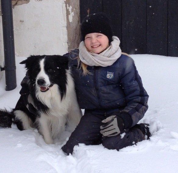 Border collie Hidden Farms Jason (Jimmi) billede 10