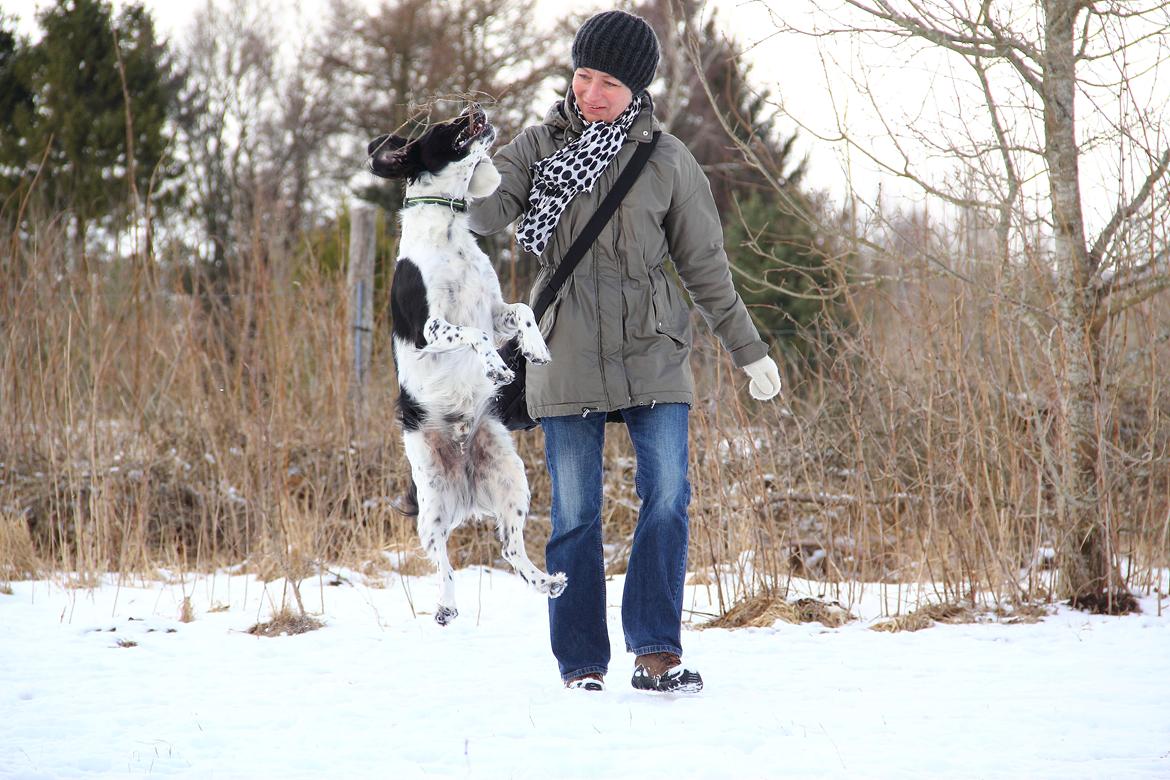 Blanding af racer Enzo billede 4