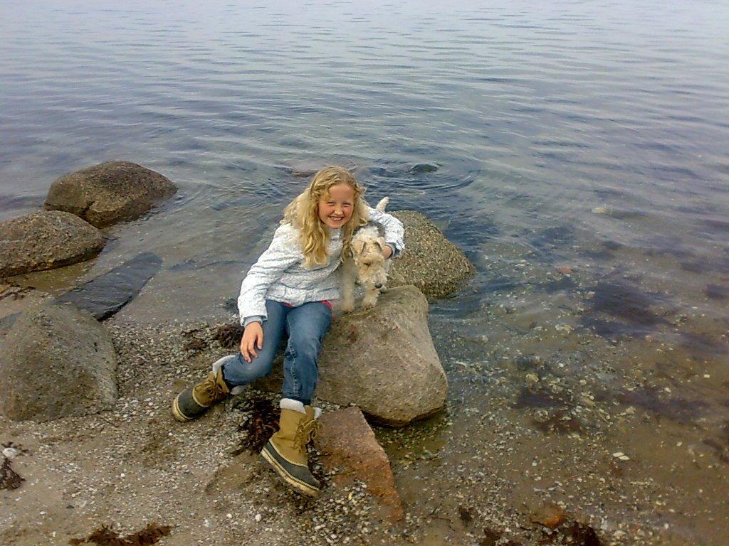 Ruhåret foxterrier <3 Lola <3 - På stranden ! Hun nyder det !;-) billede 8
