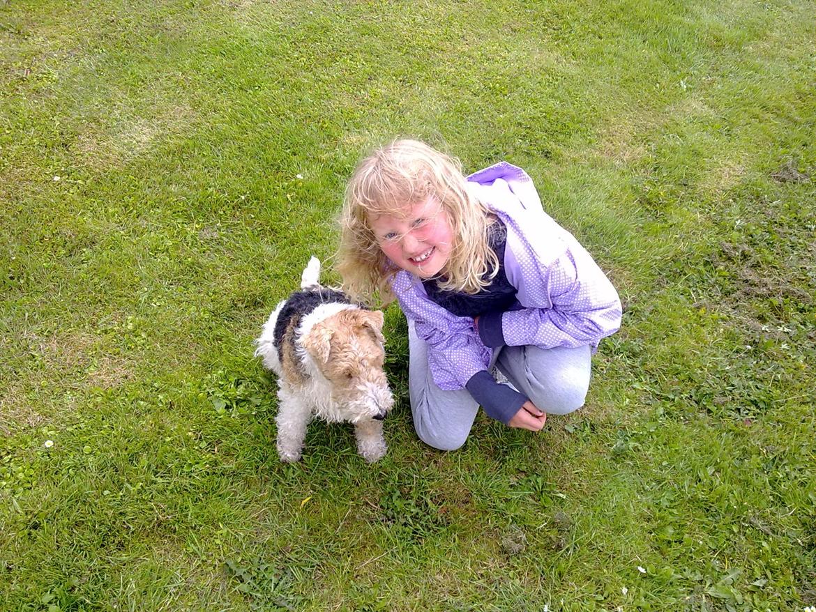 Ruhåret foxterrier <3 Lola <3 - Sammen med min dejlige ejer!<33333333333333333
Bolette billede 9