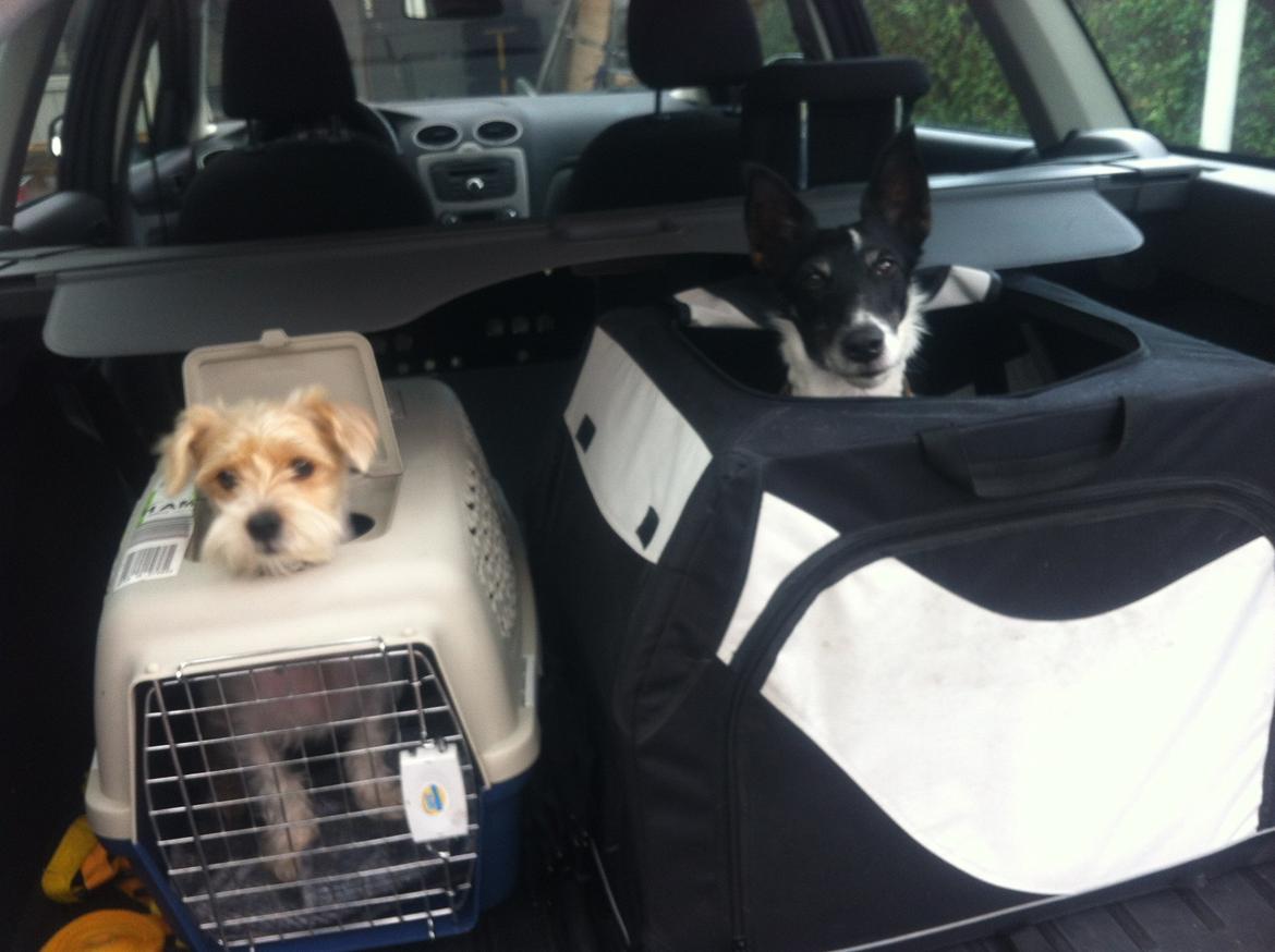 Blanding af racer Thierry Henry DK billede 1