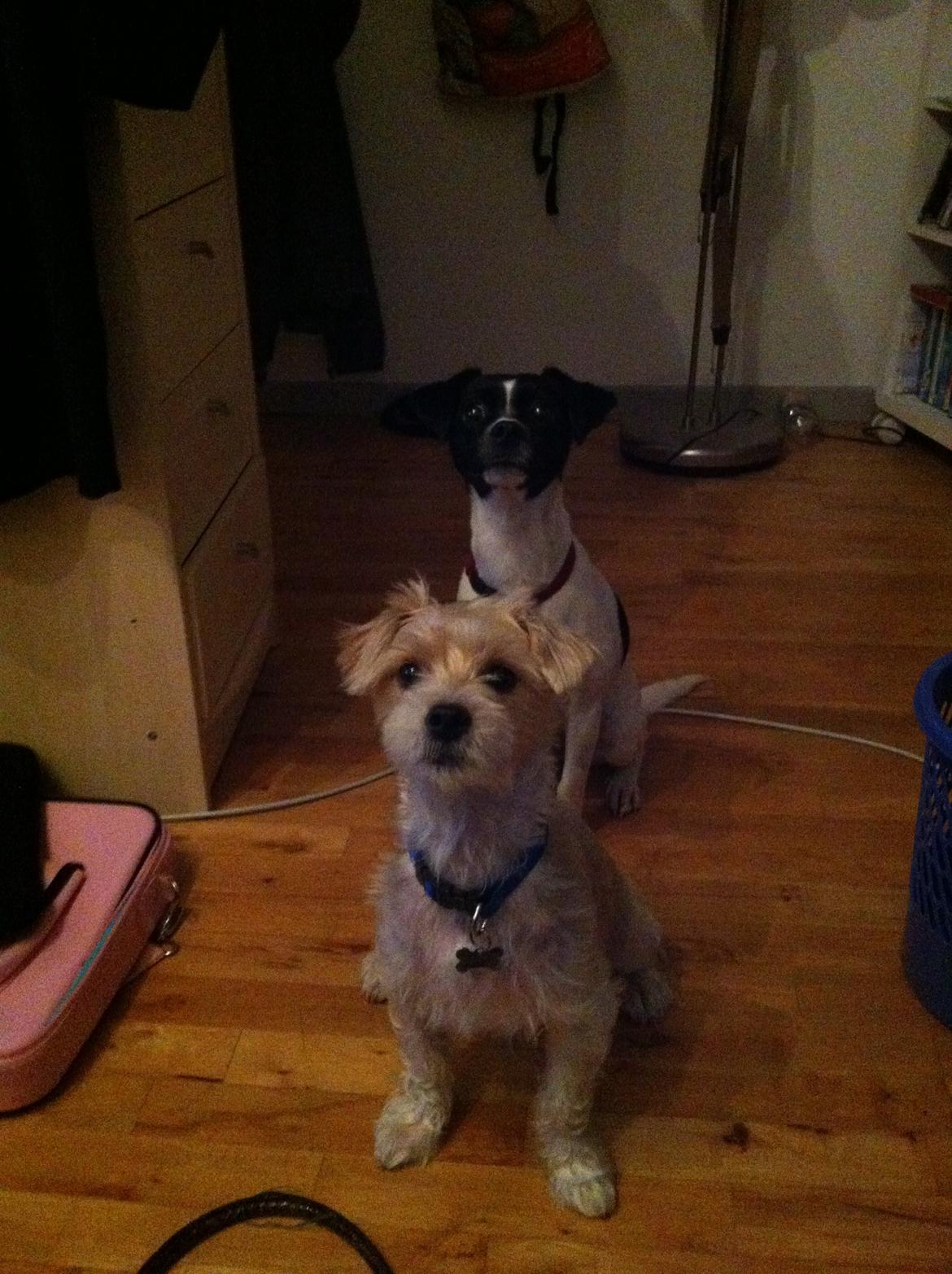 Blanding af racer Thierry Henry DK billede 9