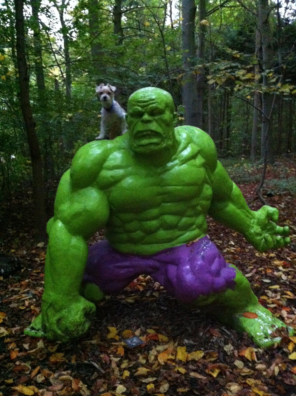 Blanding af racer Thierry Henry DK billede 11