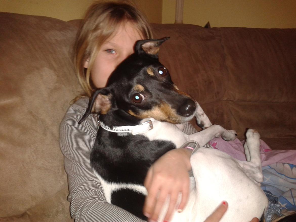 Blanding af racer Dansk/Svensk -Mynde Donna (Rafiki) - Lykken er en hund der vil ligge og putte da Nanna var Kathrines hund blev hun lykkelige over at få Donna som om muligt er mere hyggefis end Nanna var billede 7