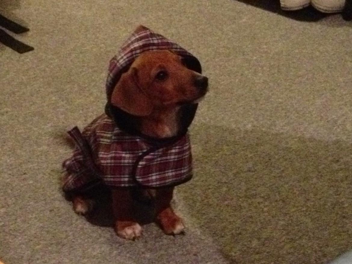 Blanding af racer Stacy - R.I.P <3 billede 6