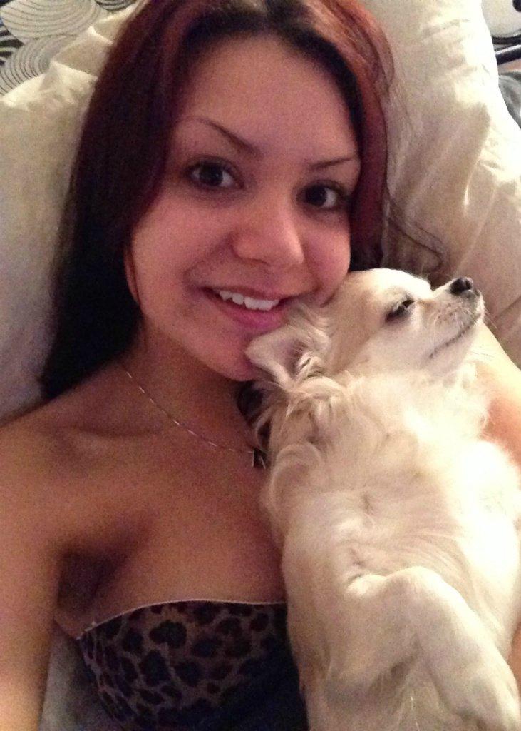 Chihuahua Shanti billede 5