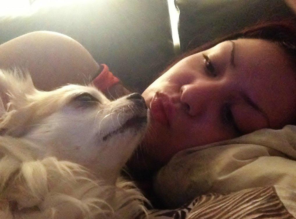 Chihuahua Shanti - Shanti og jeg. billede 7