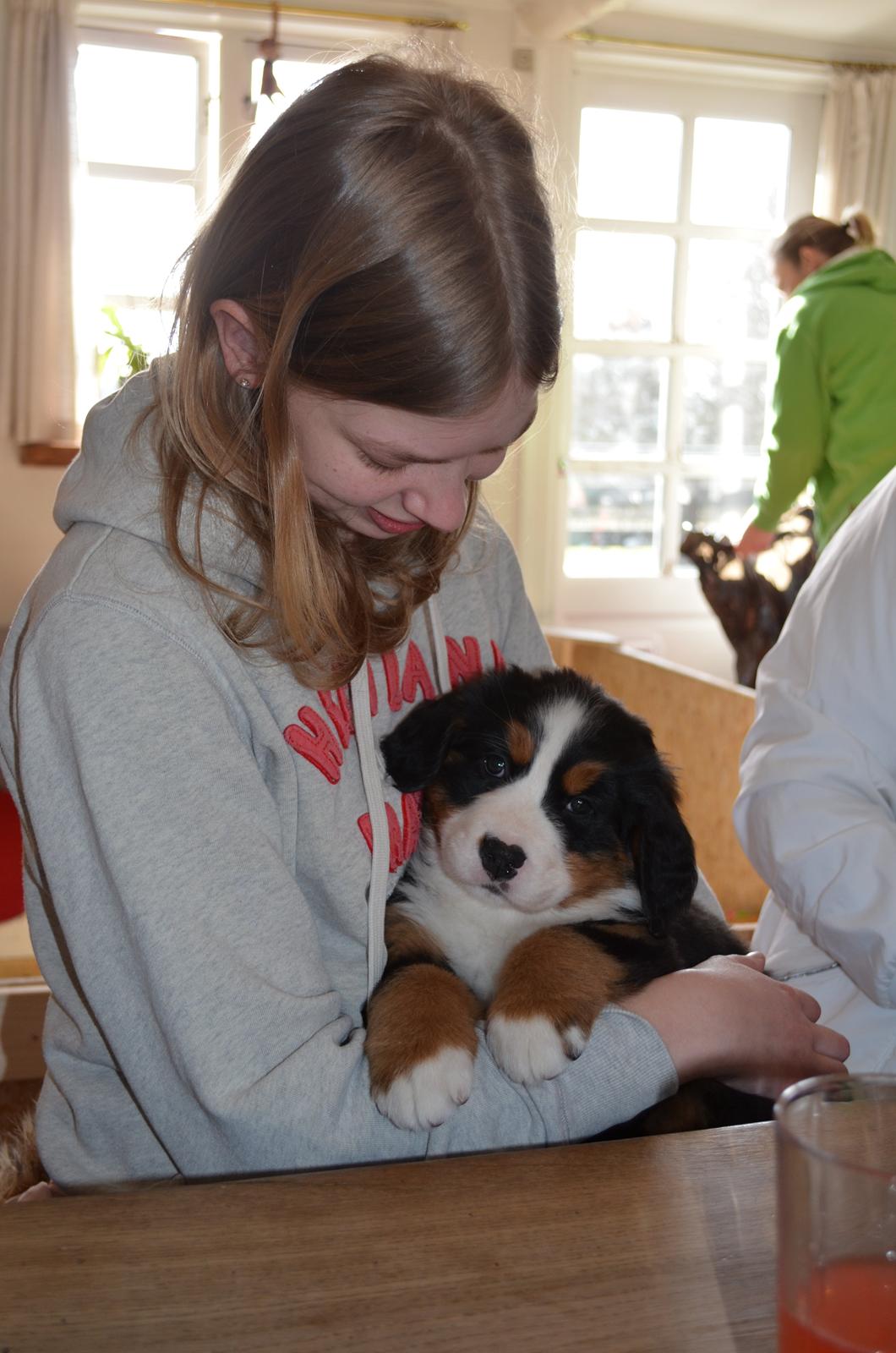 Berner sennenhund Brogårds Daisy(Freja i daglig tale) - Freja og mig billede 7