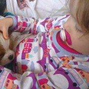 Cavalier king charles spaniel Luca (Timon's Fabulous Wolverine) - Ae ae, lille vuffer... billede 5