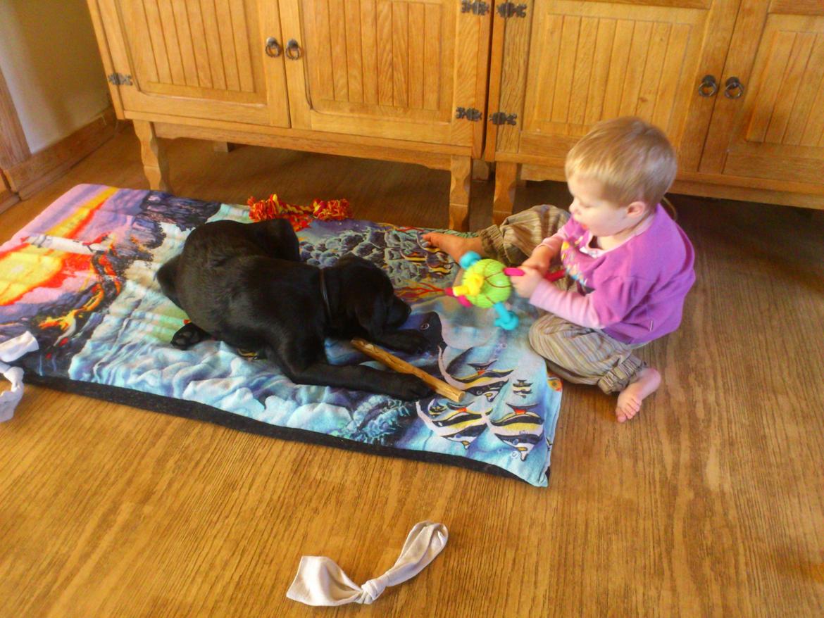 Labrador retriever Nala - Nala sammen med min datter :-)  billede 3
