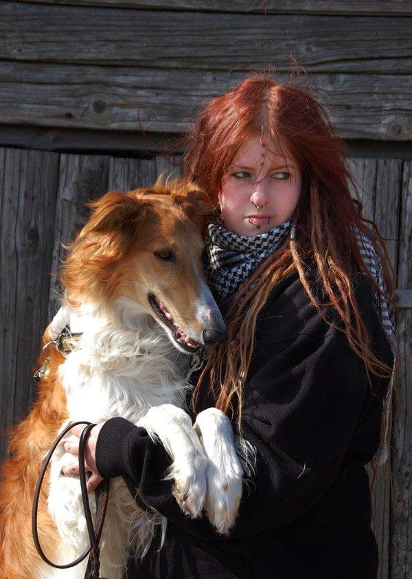 Borzoi - Kashmir 'Wild wind of Russia' billede 27