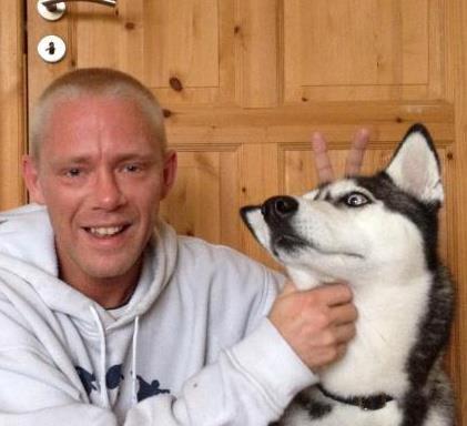 Siberian husky Zizi billede 3